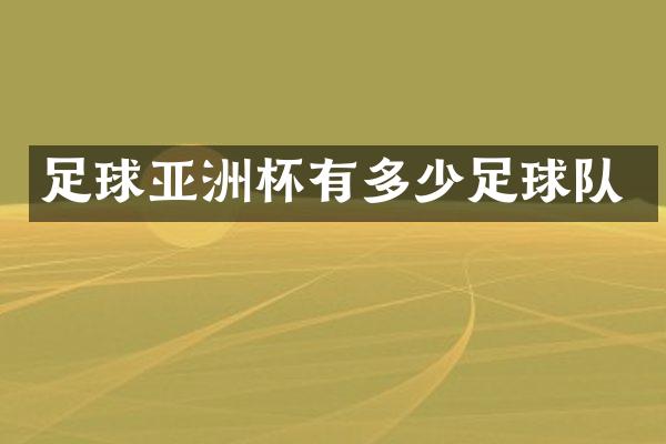 足球亚洲杯有多少足球队