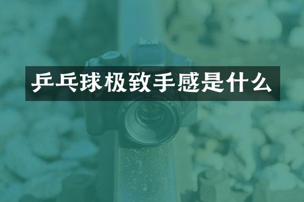 乒乓球极致手感是什么