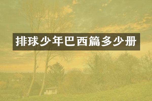 排球少年巴西篇多少册