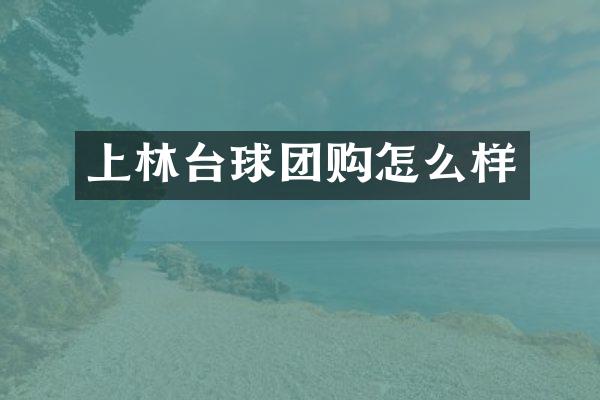 上林台球团购怎么样