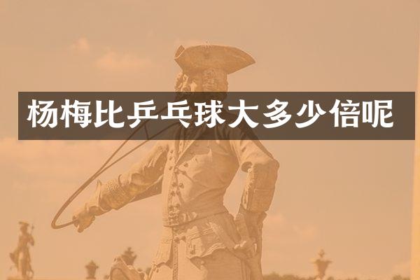 杨梅比乒乓球大多少倍呢