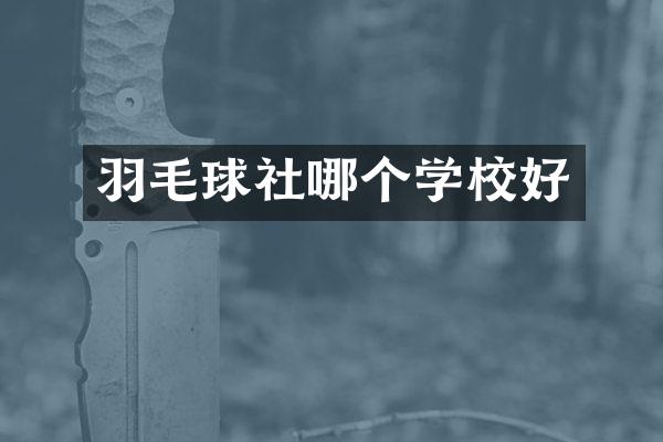 羽毛球社哪个学校好