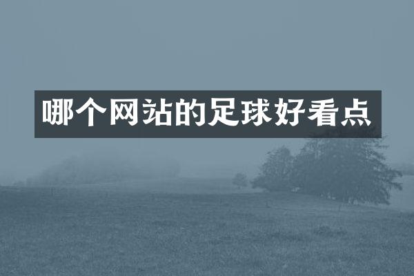 哪个网站的足球好看点