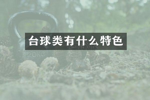台球类有什么特色