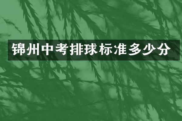 锦州中考排球标准多少分