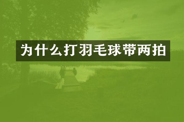 为什么打羽毛球带两拍