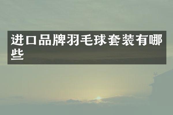 进口品牌羽毛球套装有哪些