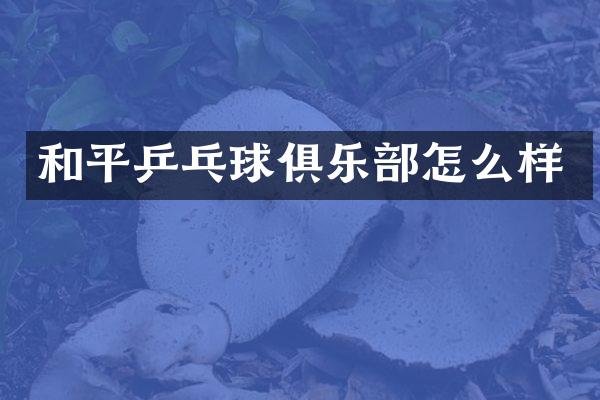 和平乒乓球俱乐部怎么样
