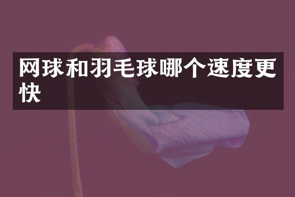网球和羽毛球哪个速度更快