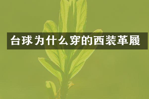 台球为什么穿的西装革履