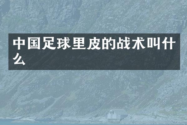 中国足球里皮的战术叫什么
