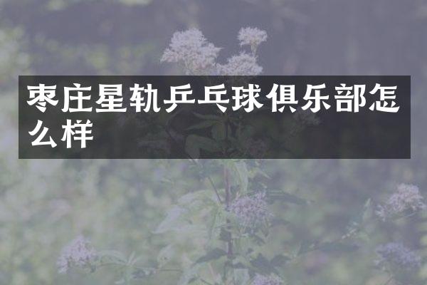 枣庄星轨乒乓球俱乐部怎么样