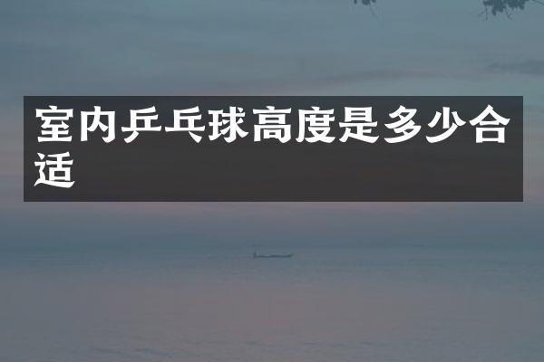 室内乒乓球高度是多少合适