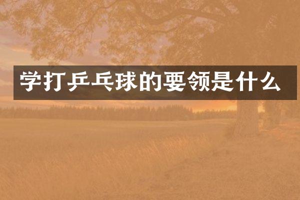 学打乒乓球的要领是什么