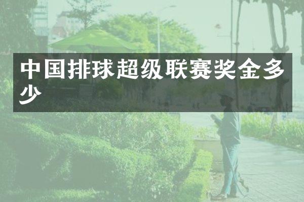 中国排球超级联赛奖金多少