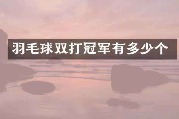 羽毛球双打冠军有多少个