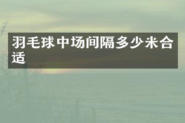 羽毛球中场间隔多少米合适