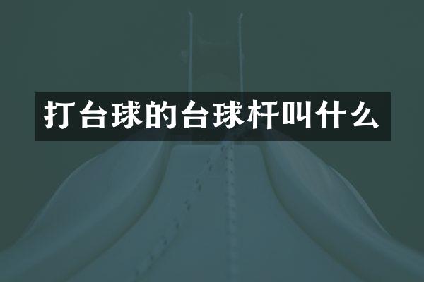 打台球的台球杆叫什么