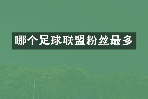 哪个足球联盟粉丝最多