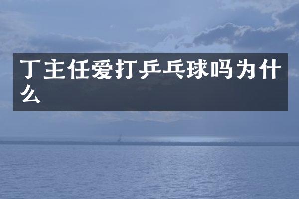 丁主任爱打乒乓球吗为什么