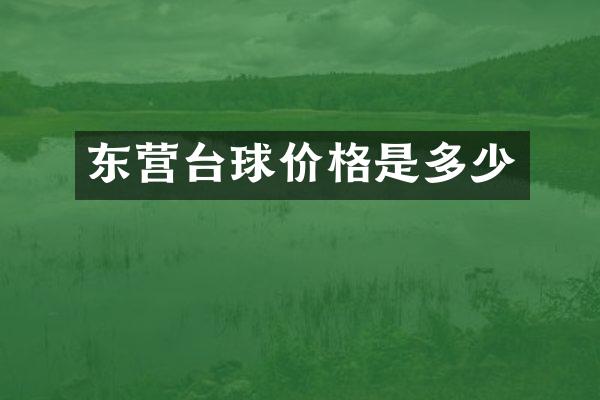 东营台球价格是多少