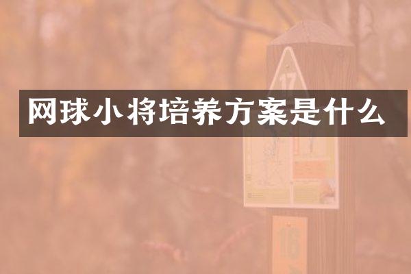 网球小将培养方案是什么