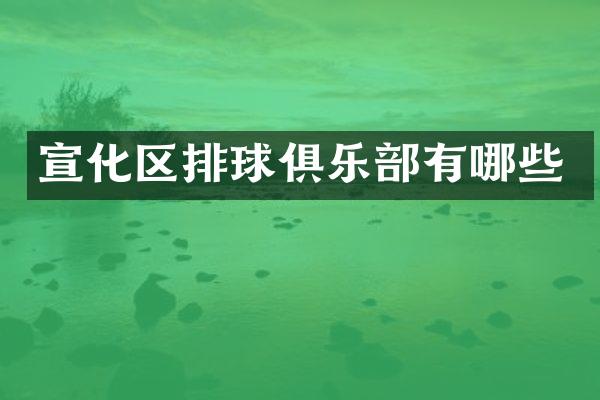 宣化区排球俱乐部有哪些