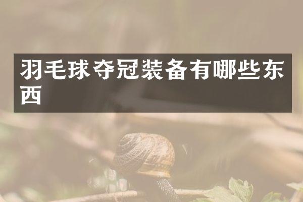 羽毛球夺冠装备有哪些东西
