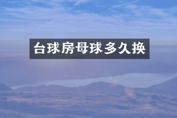台球房母球多久换