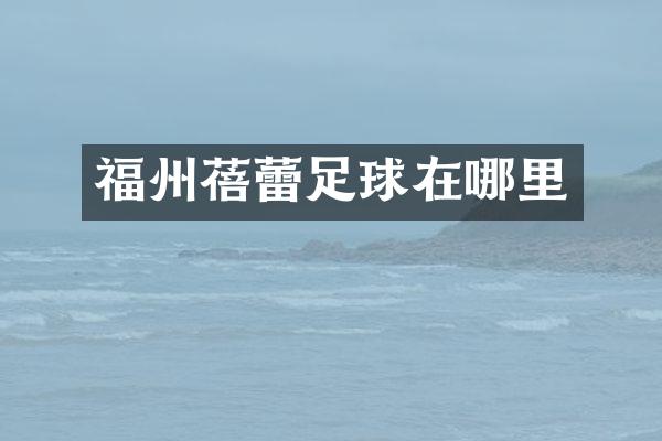 福州蓓蕾足球在哪里