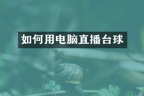 如何用电脑直播台球