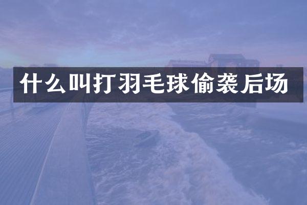 什么叫打羽毛球偷袭后场