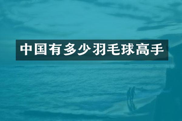 中国有多少羽毛球高手
