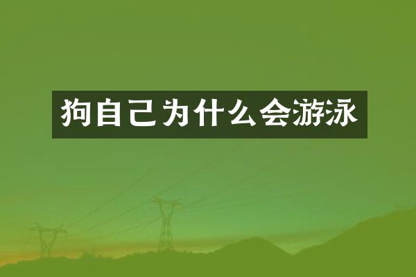 狗自己为什么会游泳