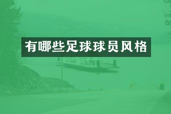 有哪些足球球员风格