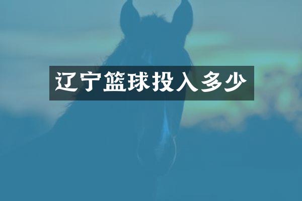 辽宁篮球投入多少