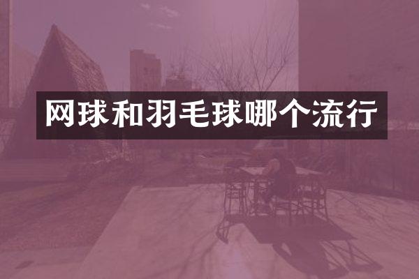网球和羽毛球哪个流行
