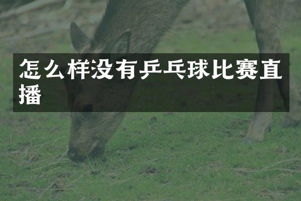 怎么样没有乒乓球比赛直播