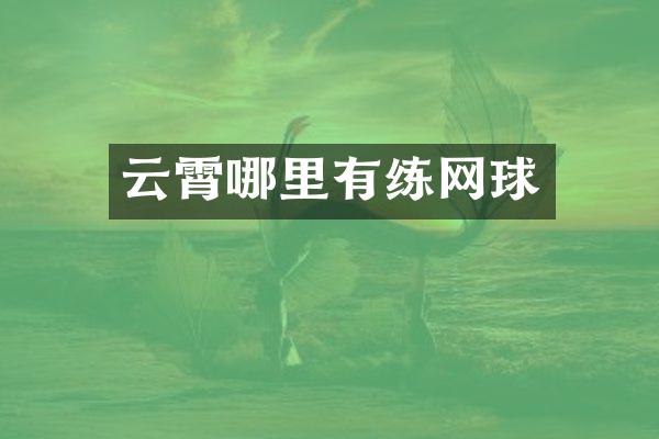 云霄哪里有练网球