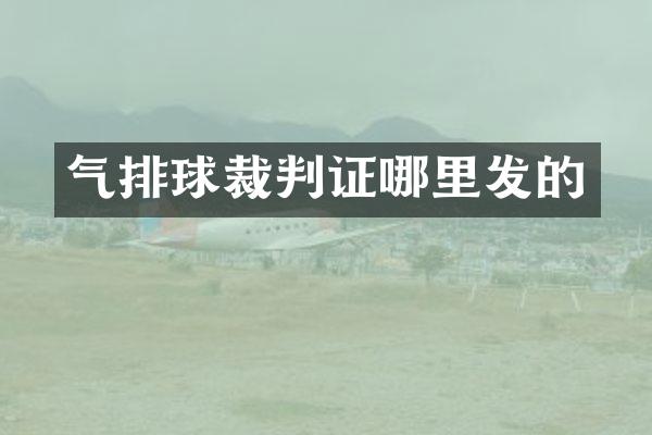 气排球裁判证哪里发的