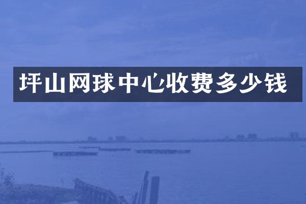 坪山网球中心收费多少钱
