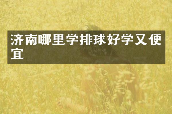 济南哪里学排球好学又便宜