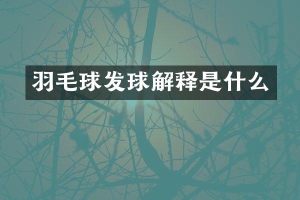 羽毛球发球解释是什么