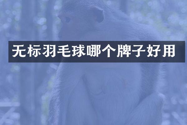 无标羽毛球哪个牌子好用