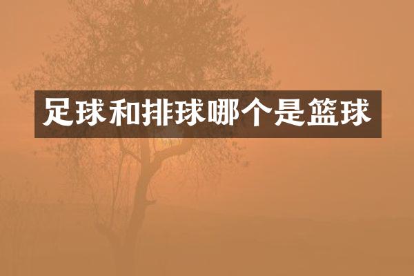足球和排球哪个是篮球
