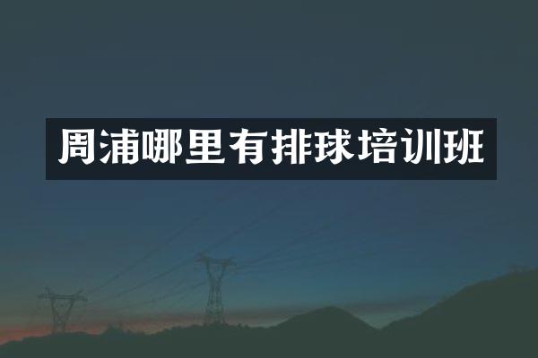 周浦哪里有排球培训班
