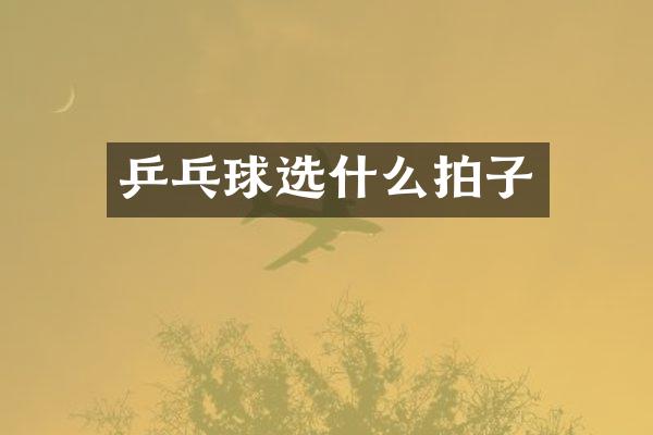 乒乓球选什么拍子