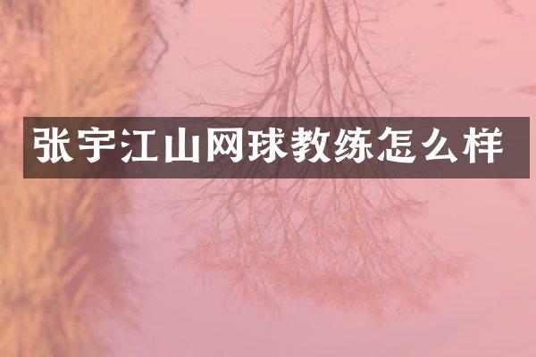 张宇江山网球教练怎么样
