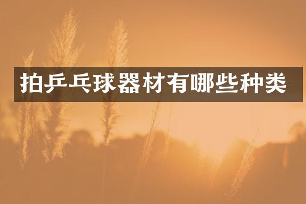 拍乒乓球器材有哪些种类