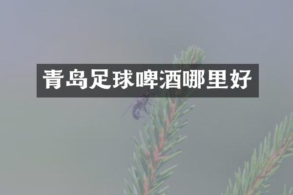 青岛足球啤酒哪里好